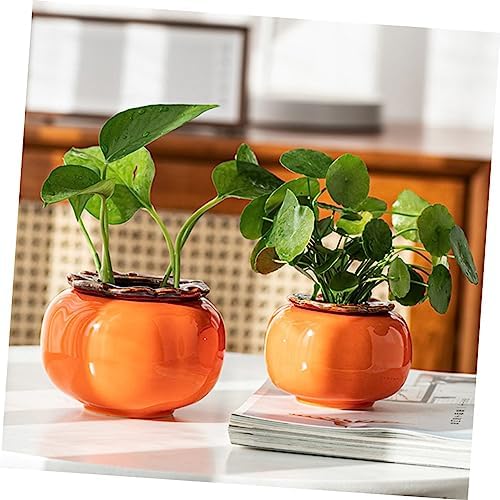 KESYOO 2 Pcs Persimmon Shape Hydroponic Flower Pots