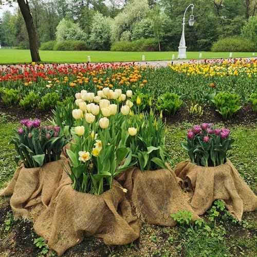 Tcevily Garden Burlap Roll 40x50 Feet Natural Jute