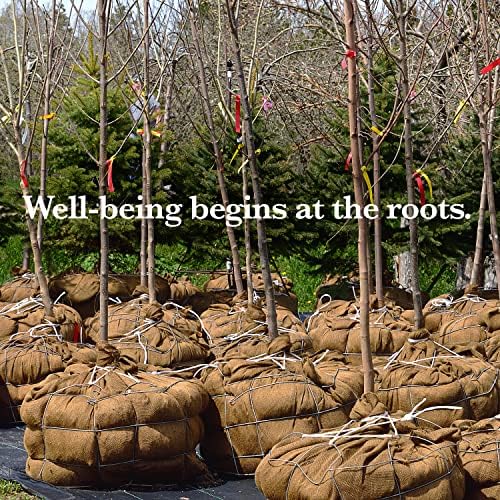 40ft x 30in Burlap Roll for Garden and Decor