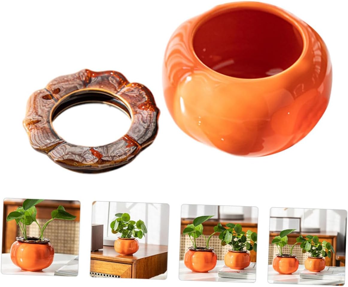 KESYOO 2 Pcs Persimmon Shape Hydroponic Flower Pots