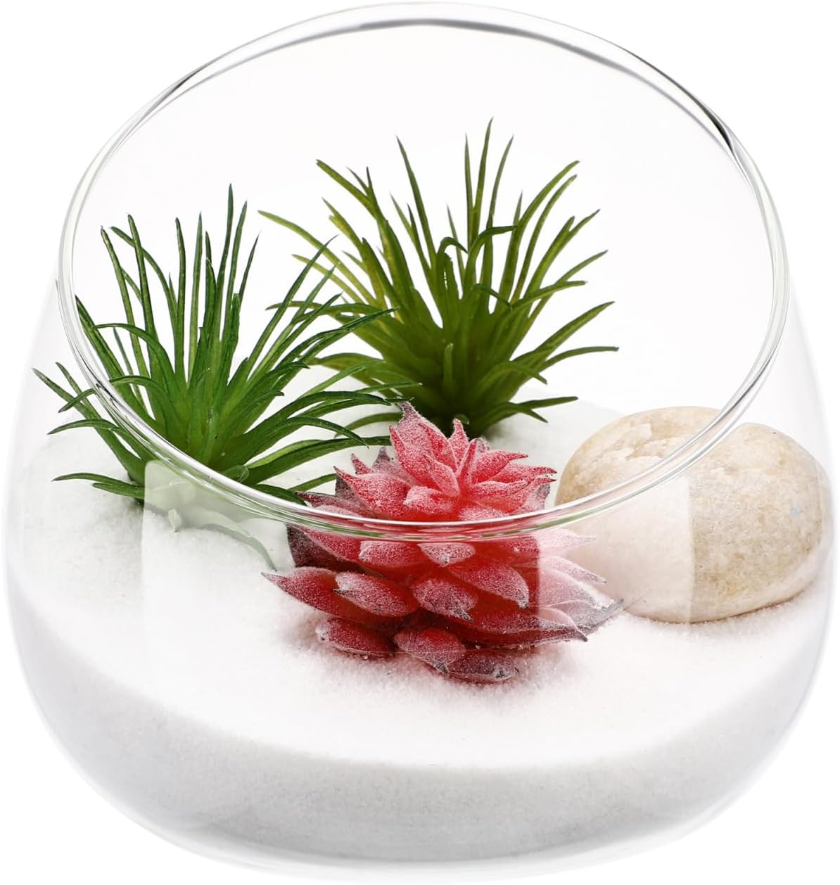 Angoily Slant Cut Glass Bowl Terrarium Container