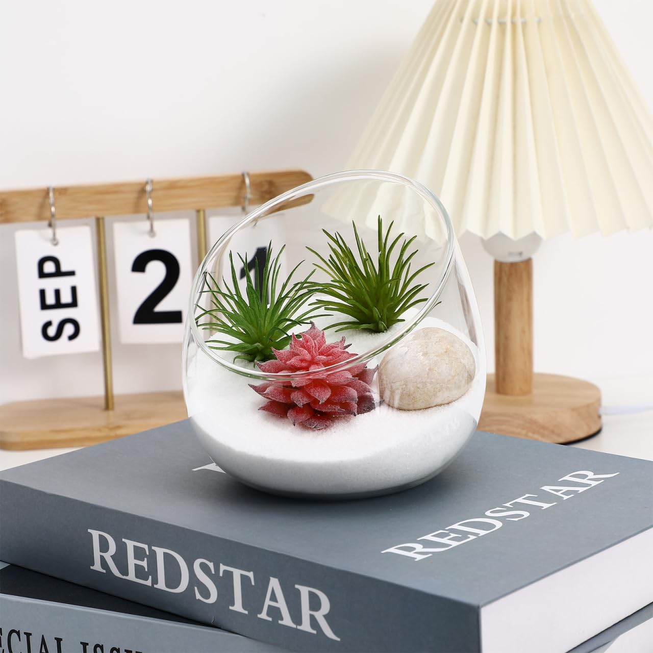 Angoily Slant Cut Glass Bowl Terrarium Container