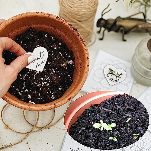 Mixrug 50 Plantable Wildflower Paper Heart Shaped Babyshower Favors