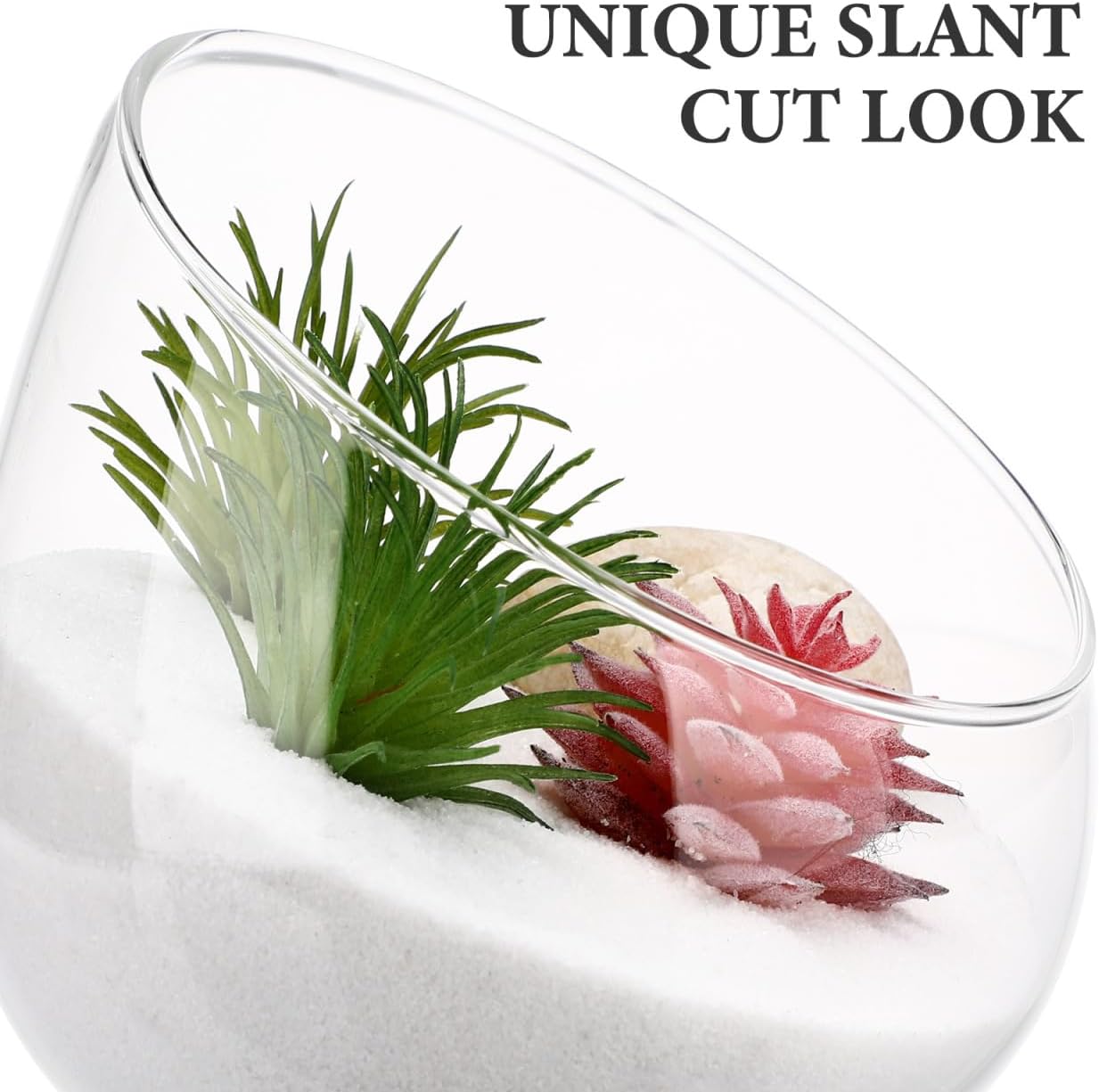 Angoily Slant Cut Glass Bowl Terrarium Container