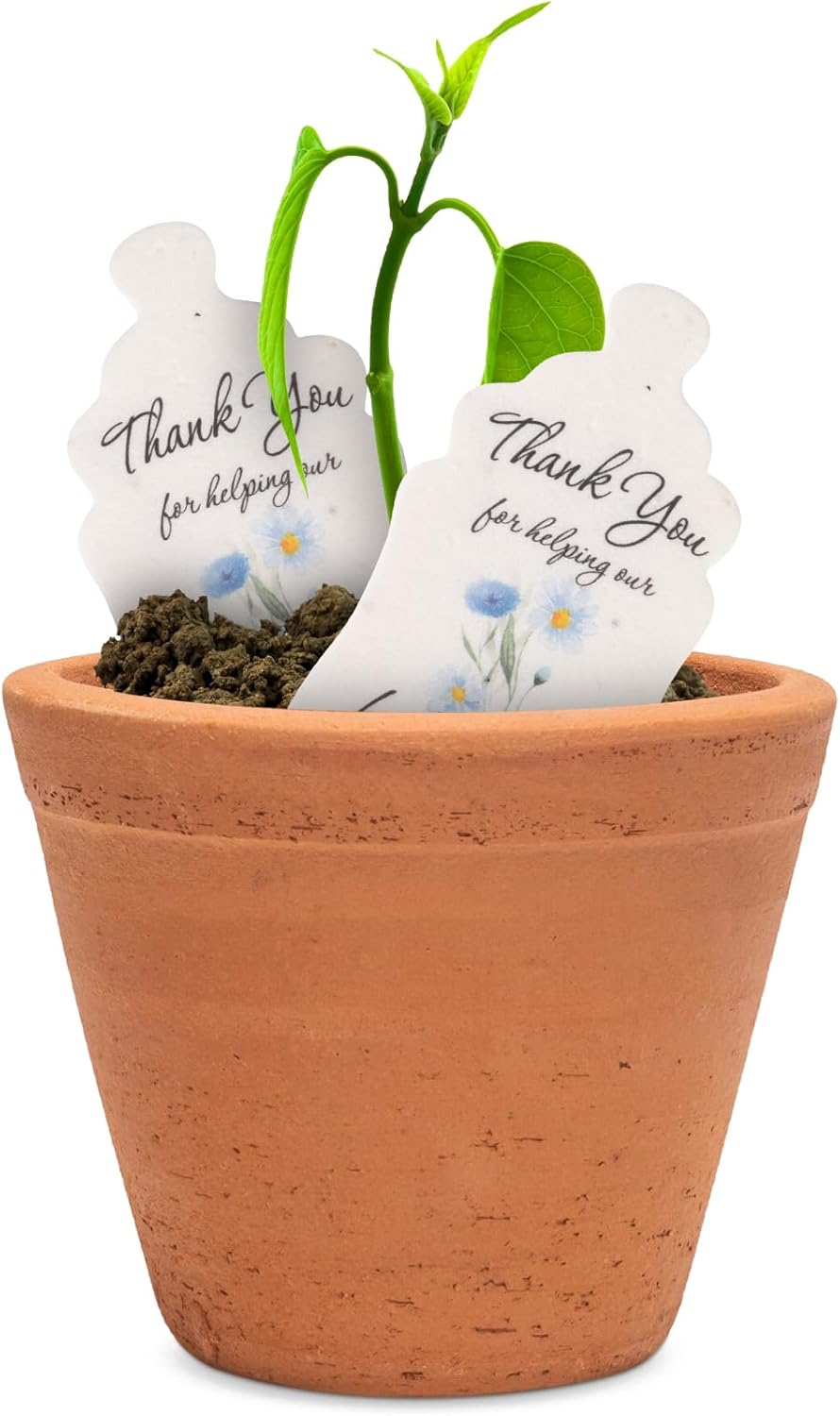 15pcs Blue Baby Bottles with Wildflower Seeds