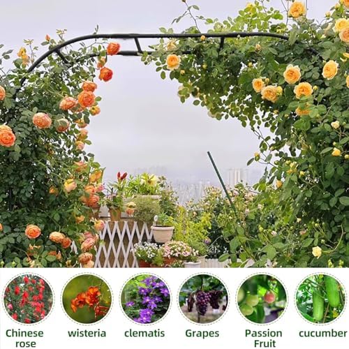 Garden Arch Trellis - 59in x 945in for Climbing Plants