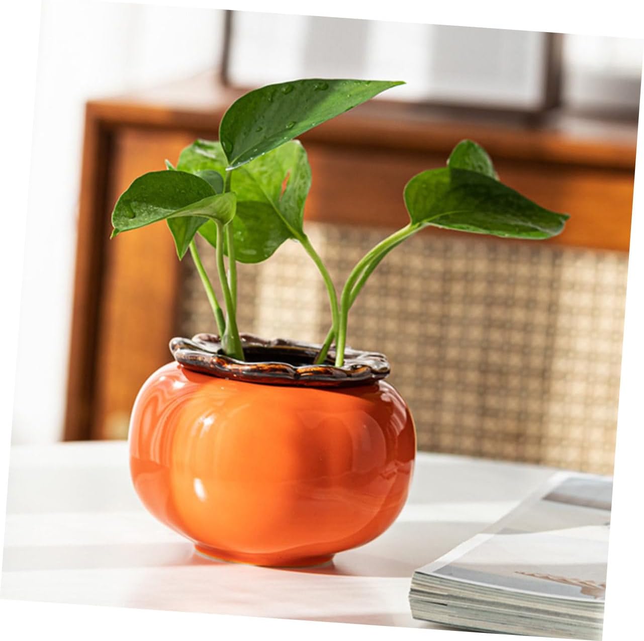 KESYOO 2 Pcs Persimmon Shape Hydroponic Flower Pots
