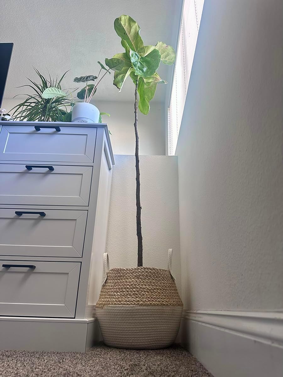 Corn Husk Handwoven Indoor Plant Pot Storage Basket