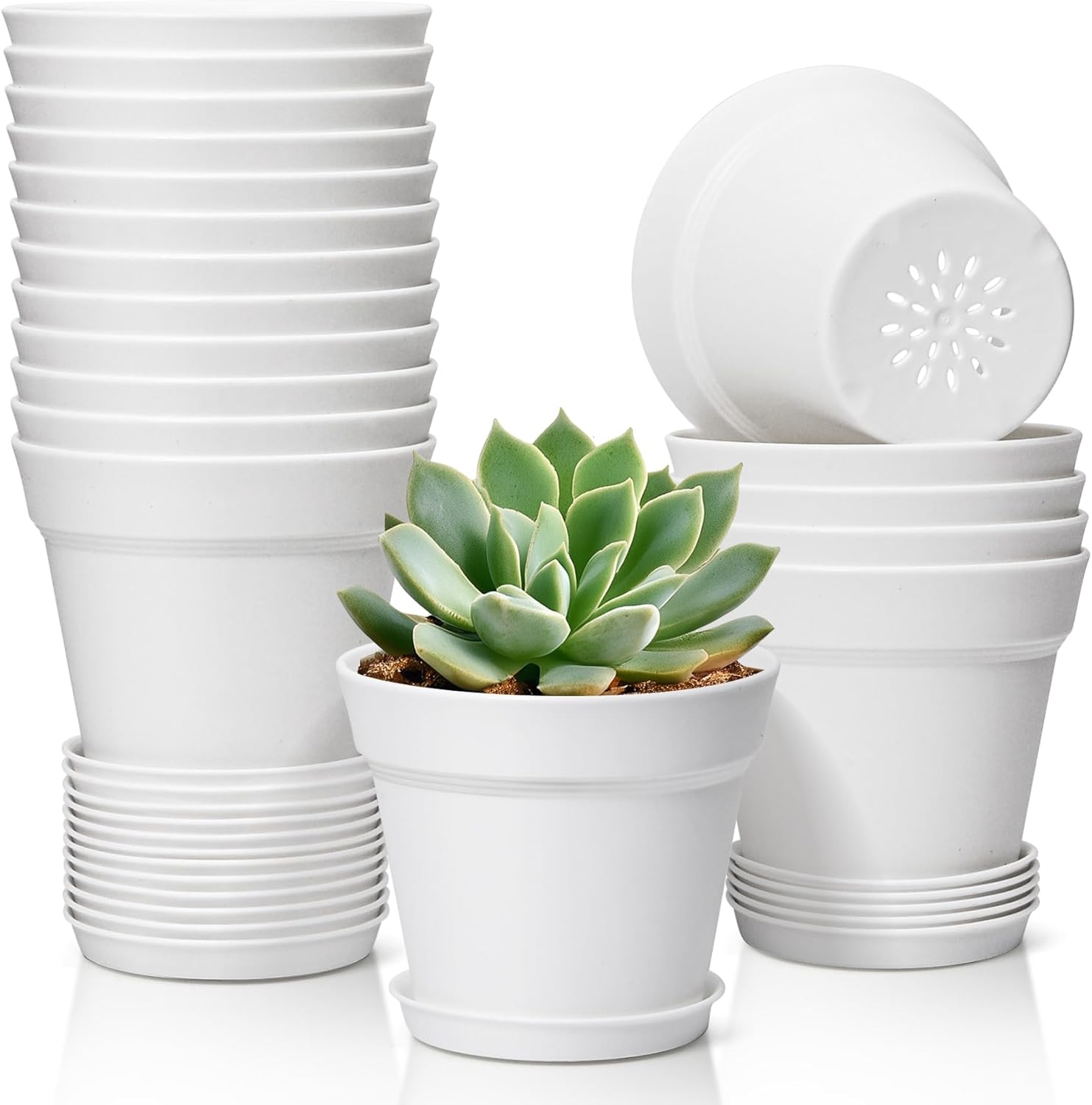 T4U 4 Inch Plant Pots 18 Pack with Saucer and Drainage Hole