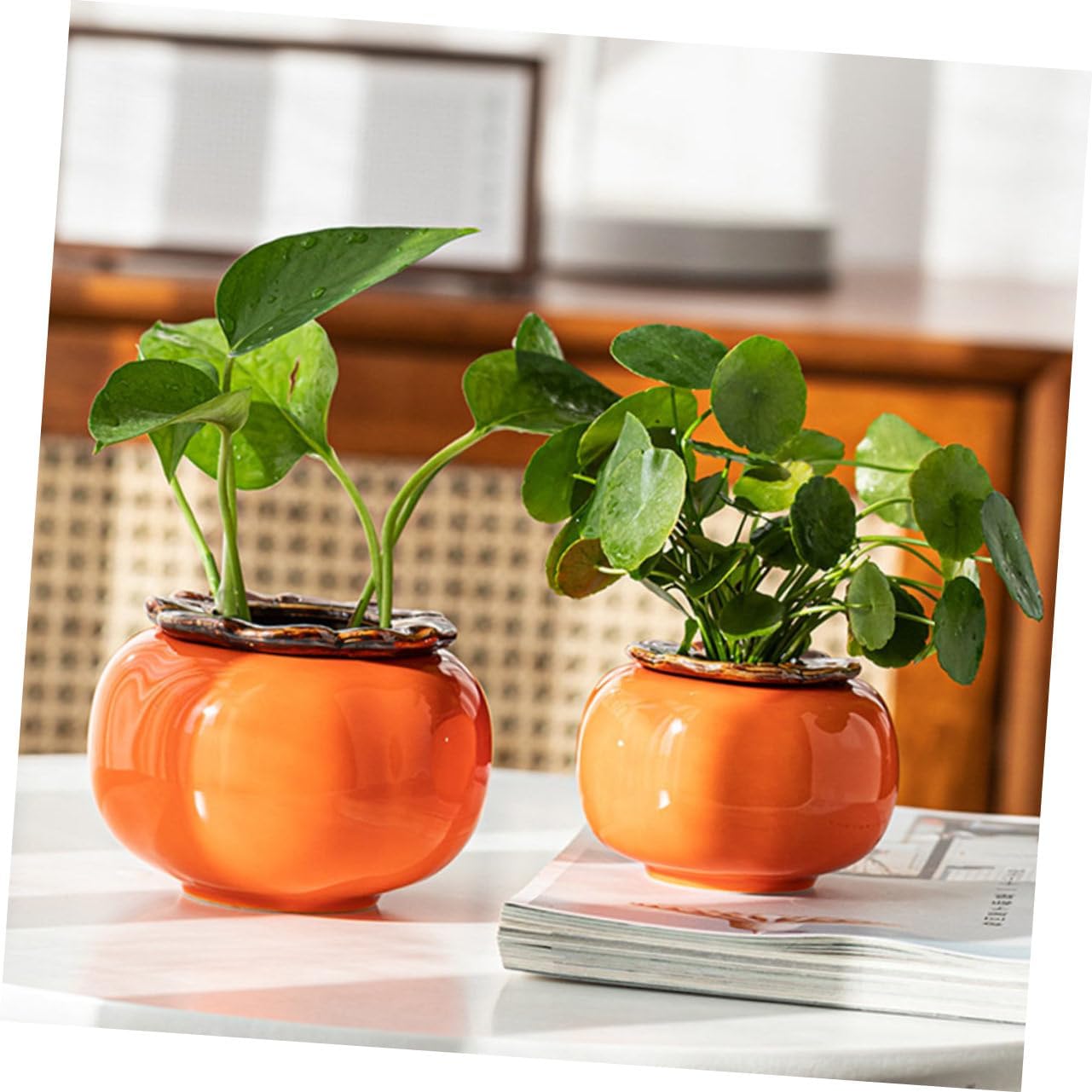 KESYOO 2 Pcs Persimmon Shape Hydroponic Flower Pots