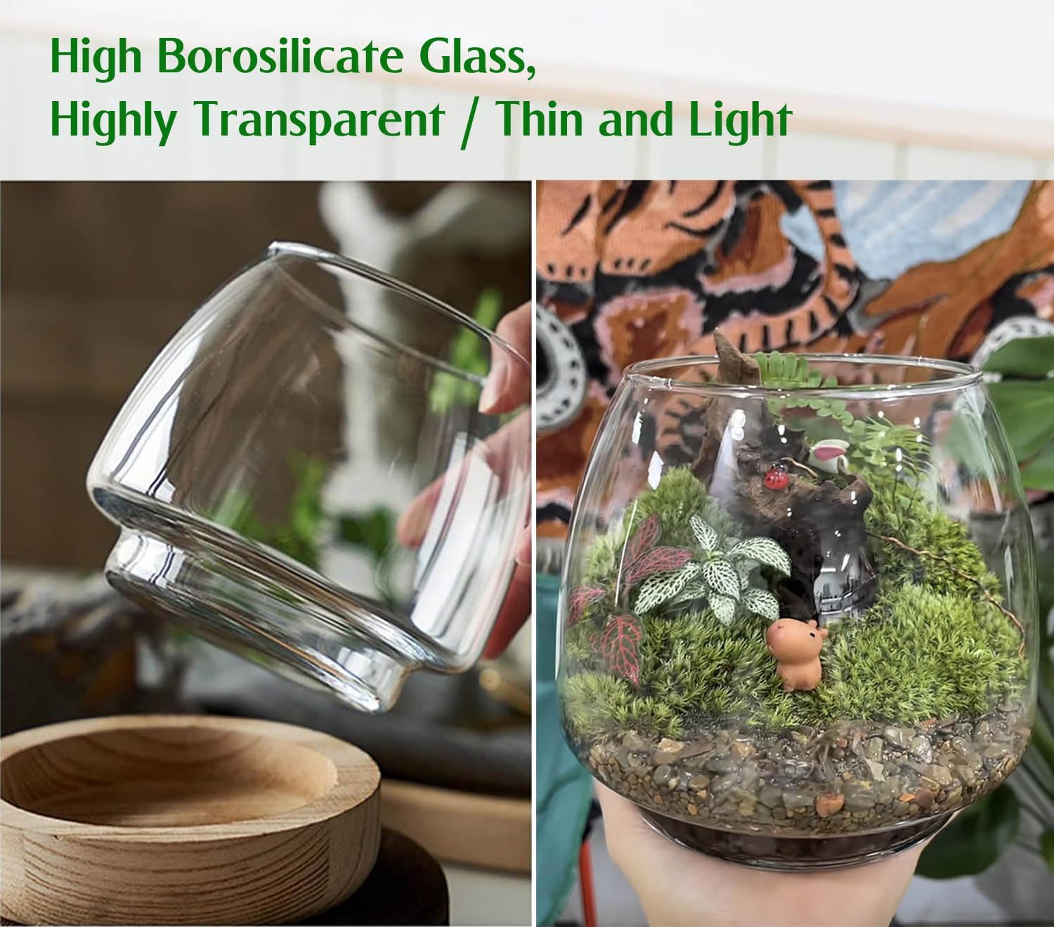 6 Inch Glass Terrarium with Wooden Base for Plants
