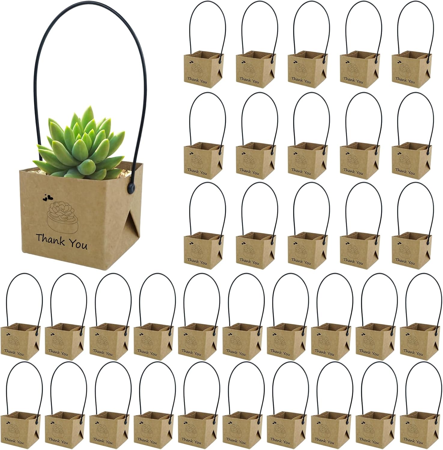 40Pcs Succulent Wrap Bags with Thank You Labels for Party Favors
