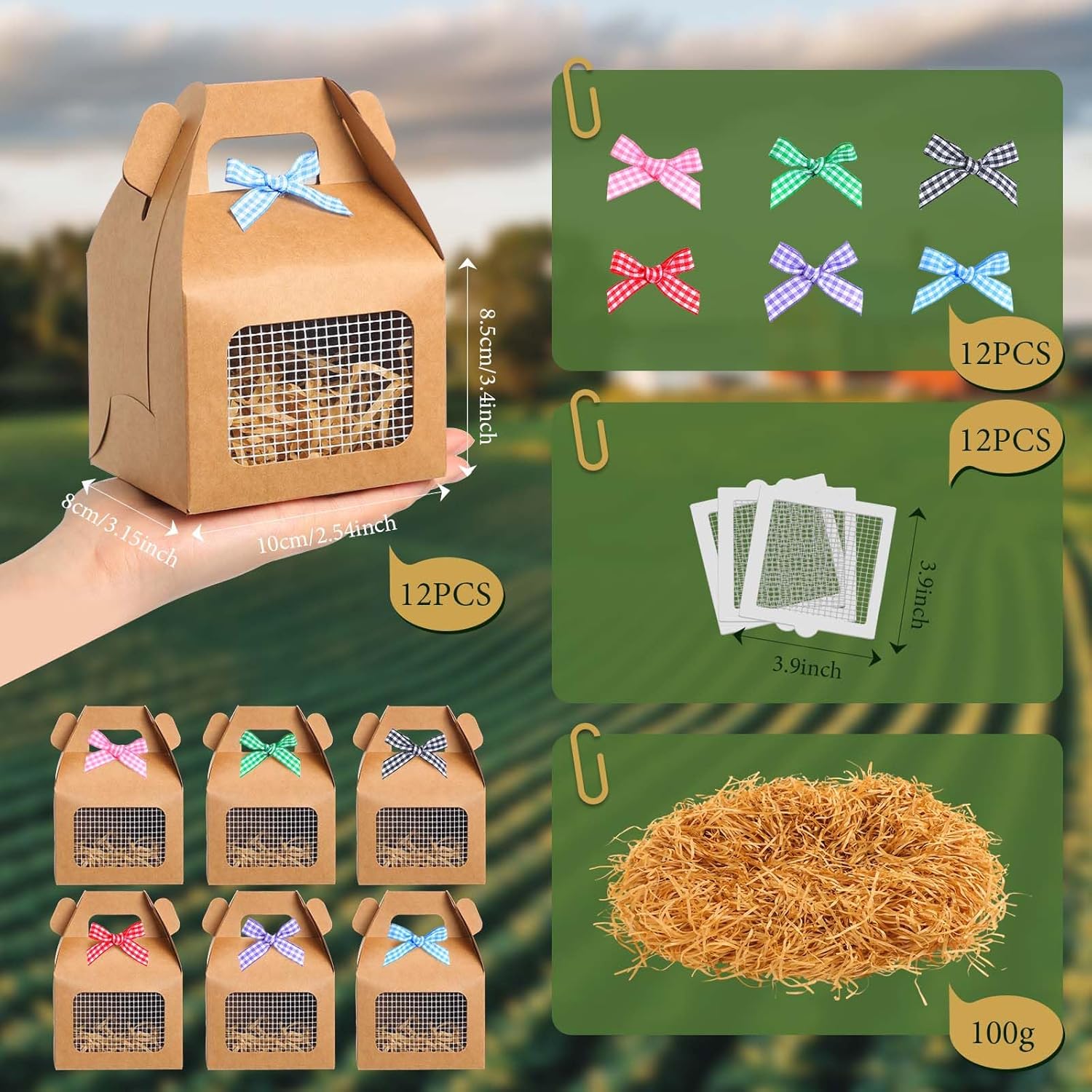 Maitys 12 Pcs Chicken Party Favor Boxes
