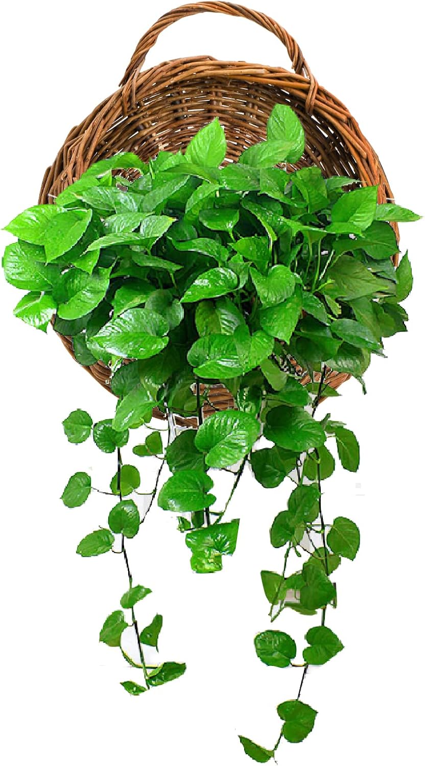 Foraineam Woven Hanging Basket for Home Garden Decorations