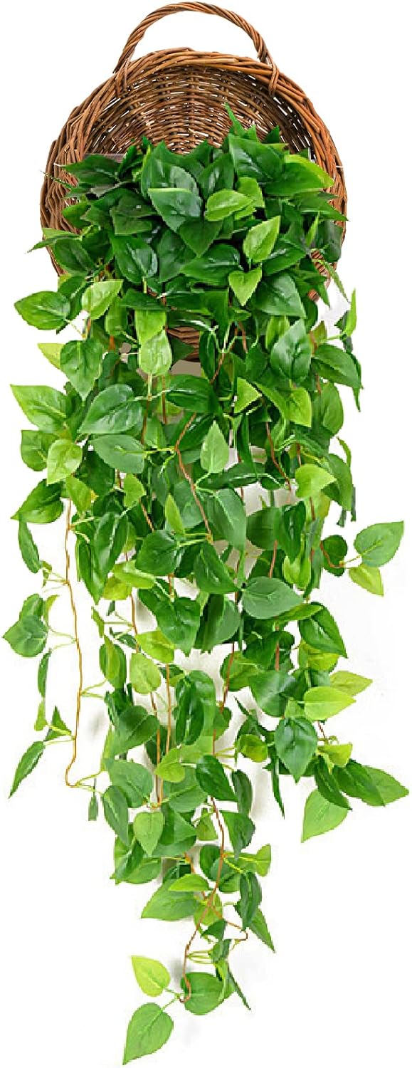 Foraineam Woven Hanging Basket for Home Garden Decorations