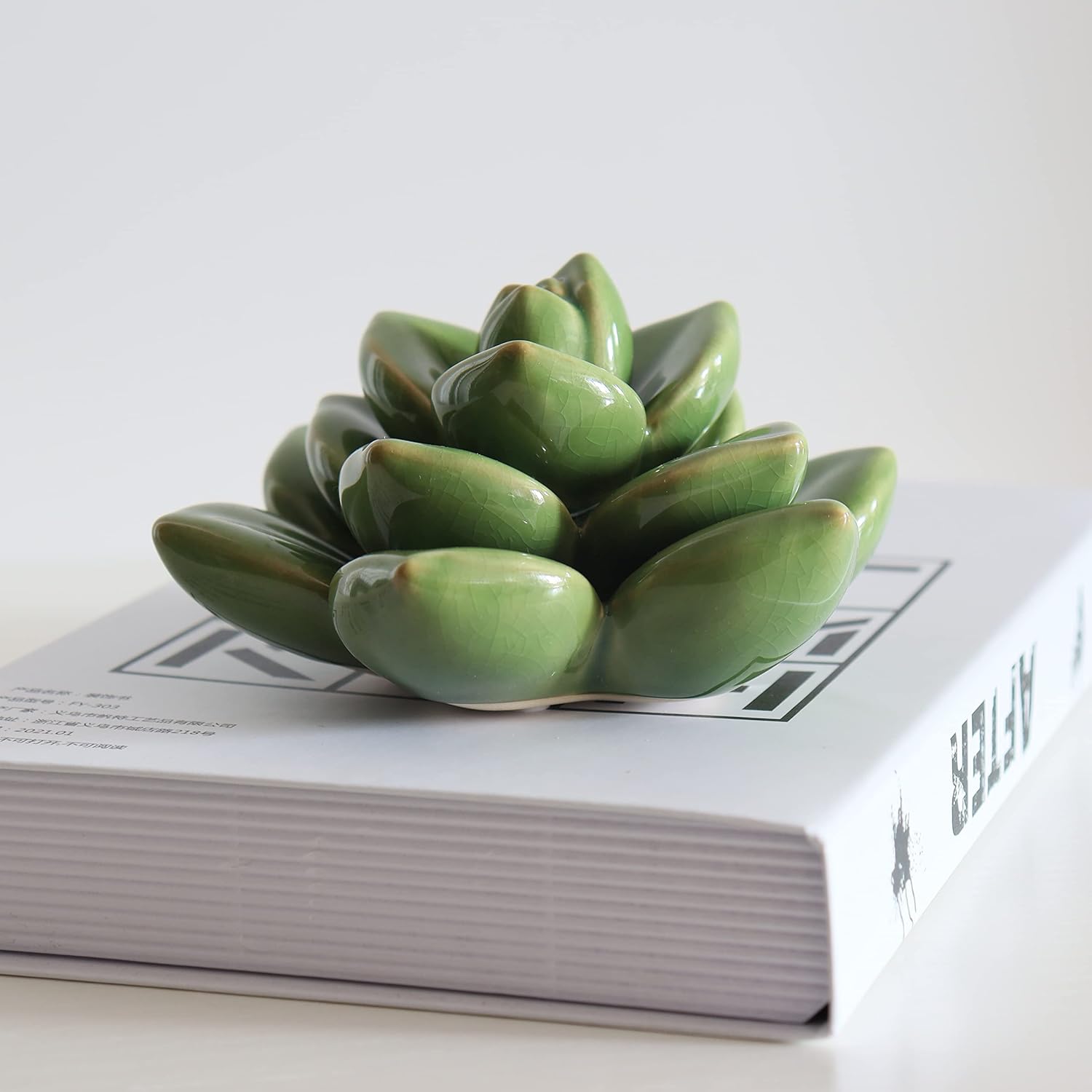 Ceramic Succulent Flower Table Top Decor with Stable Base