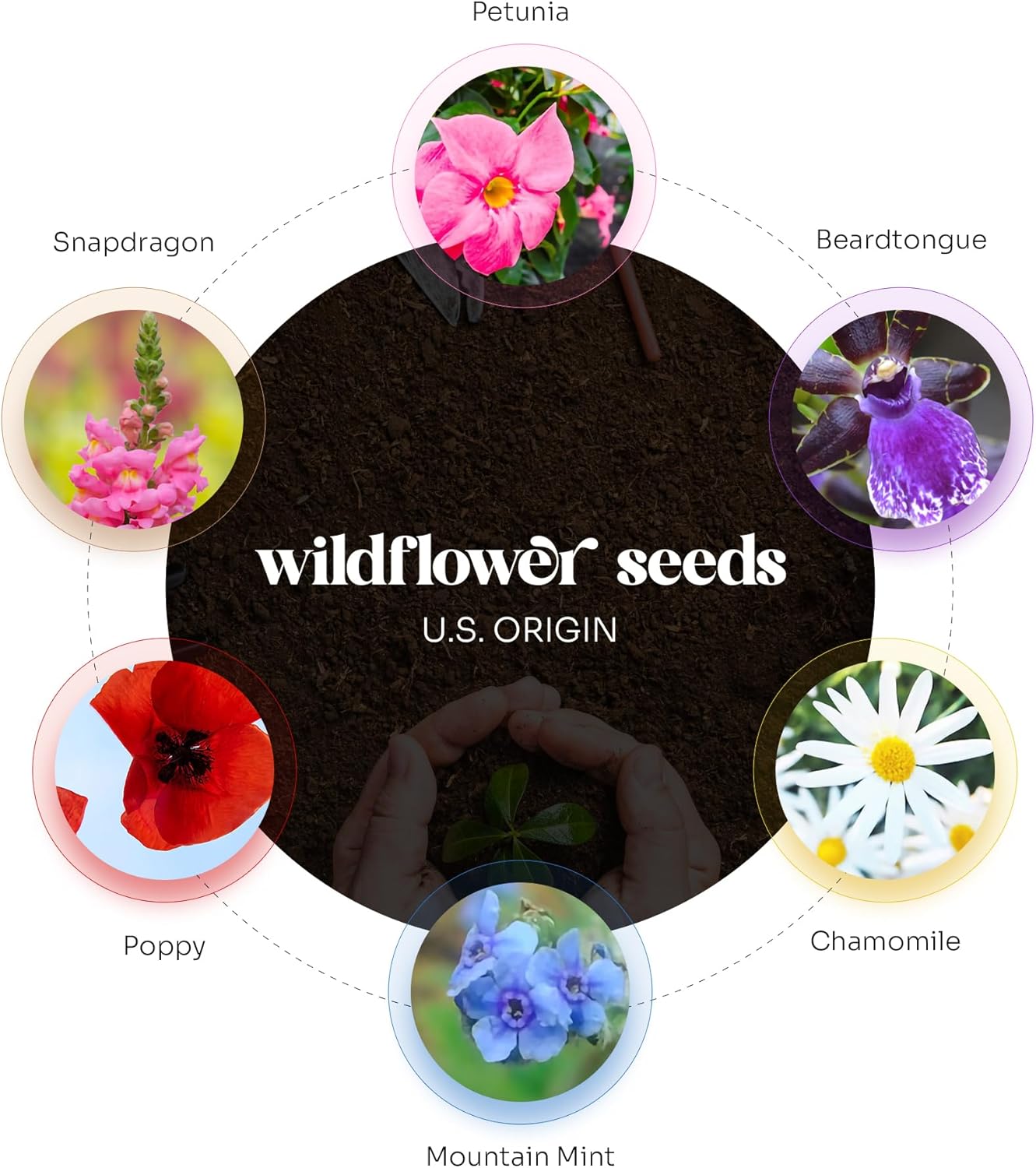 48 Pcs Plantable Seed Paper Set with Wildflower Seeds