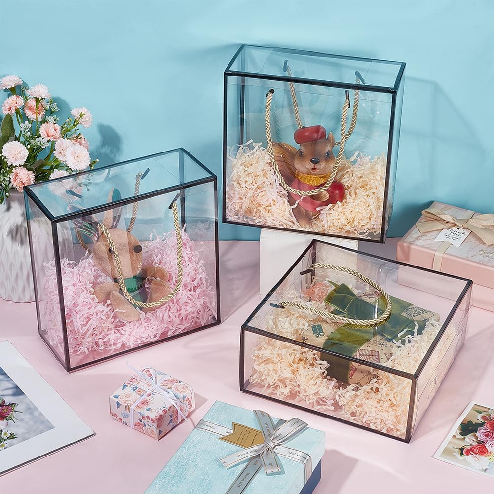 BENECREAT 10 Pack Clear PET Gift Boxes with Handle