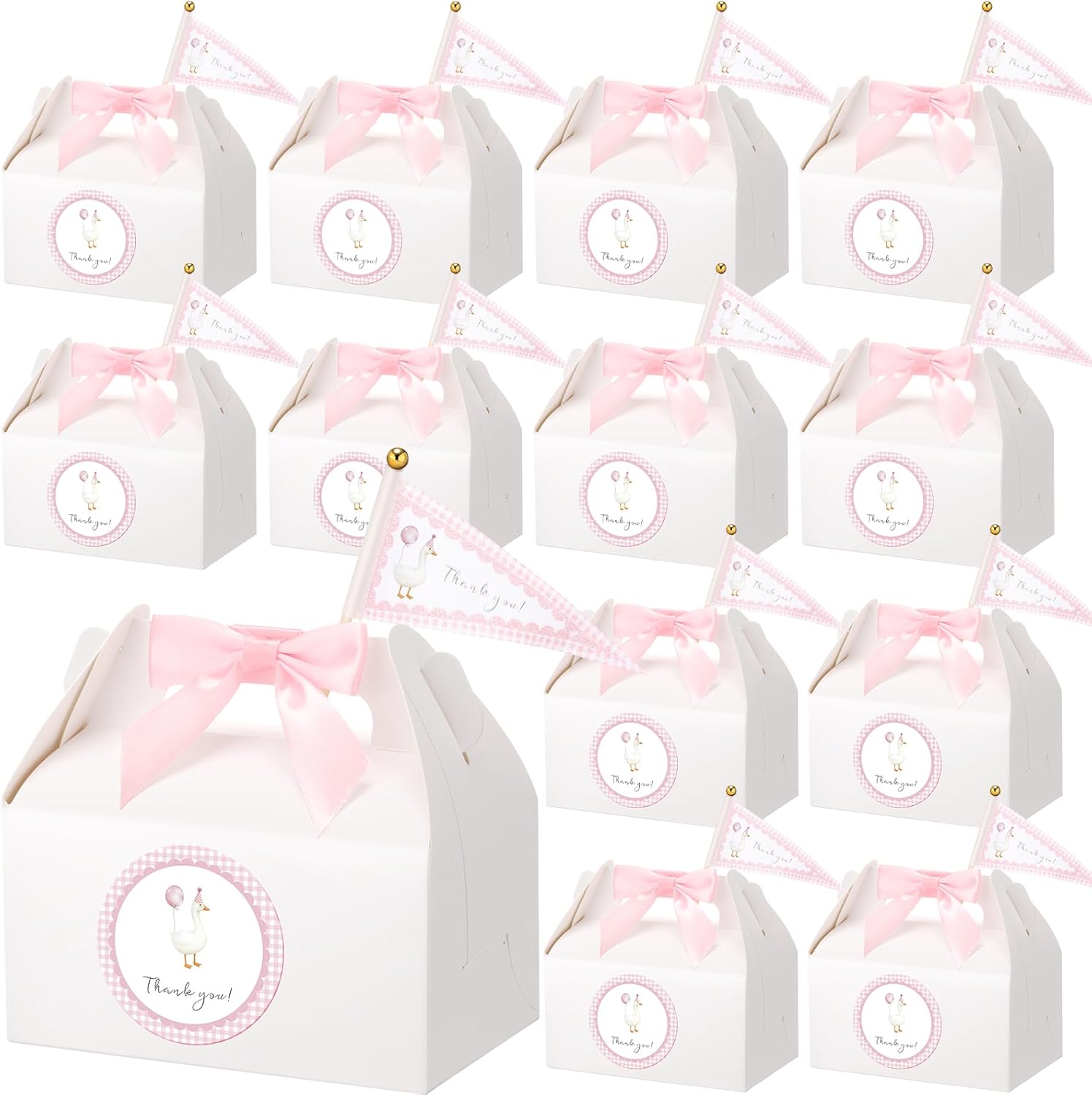 AmazingSpark 12 Piece Silly Goose Party Favor Set