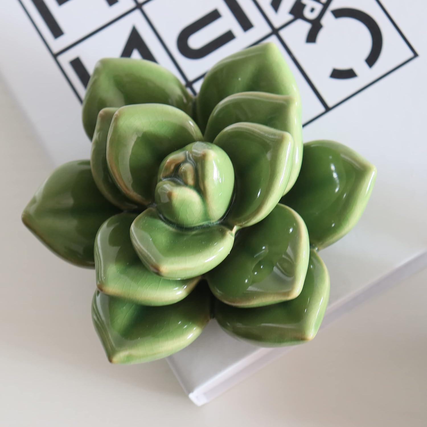 Ceramic Succulent Flower Table Top Decor with Stable Base