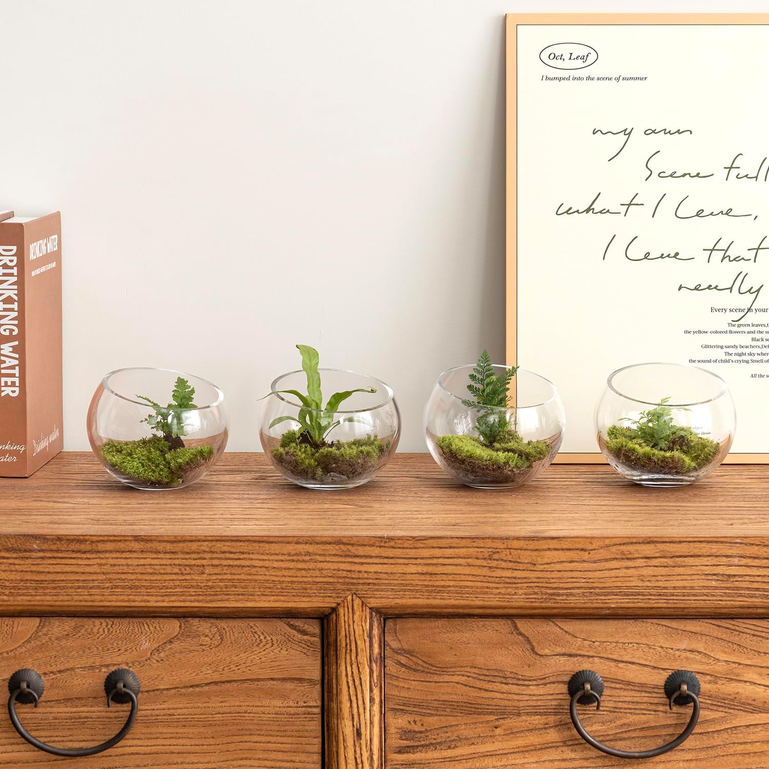 MyGift Premium Hotel Series 5 Inch Clear Glass Terrarium Set of 4