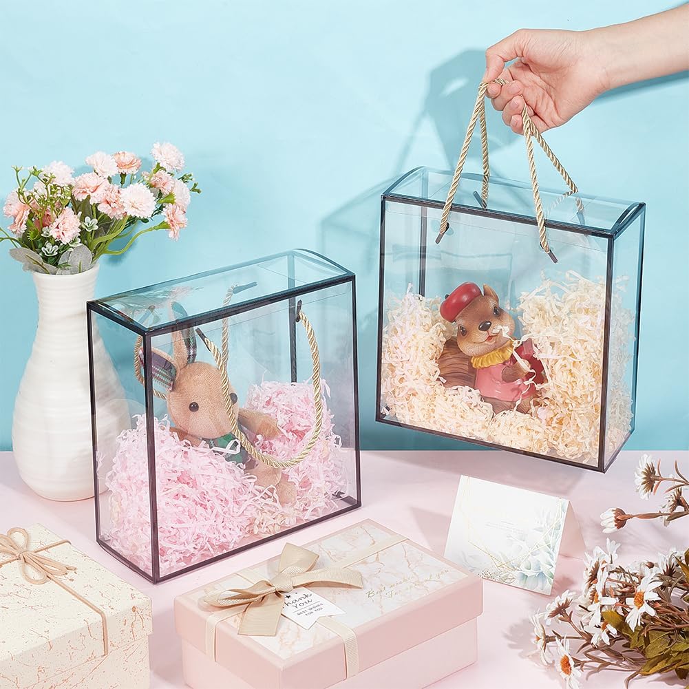 BENECREAT 10 Pack Clear PET Gift Boxes with Handle