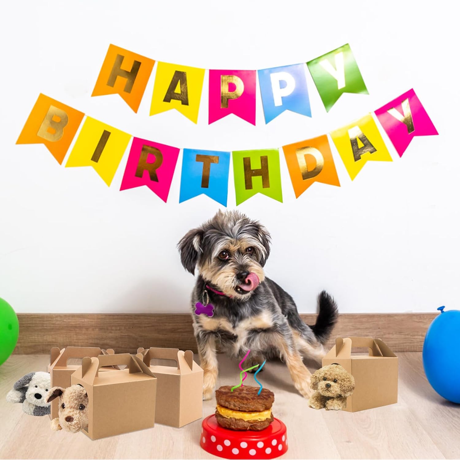 24 PCS Puppy Favors Boxes with Windows Foldable