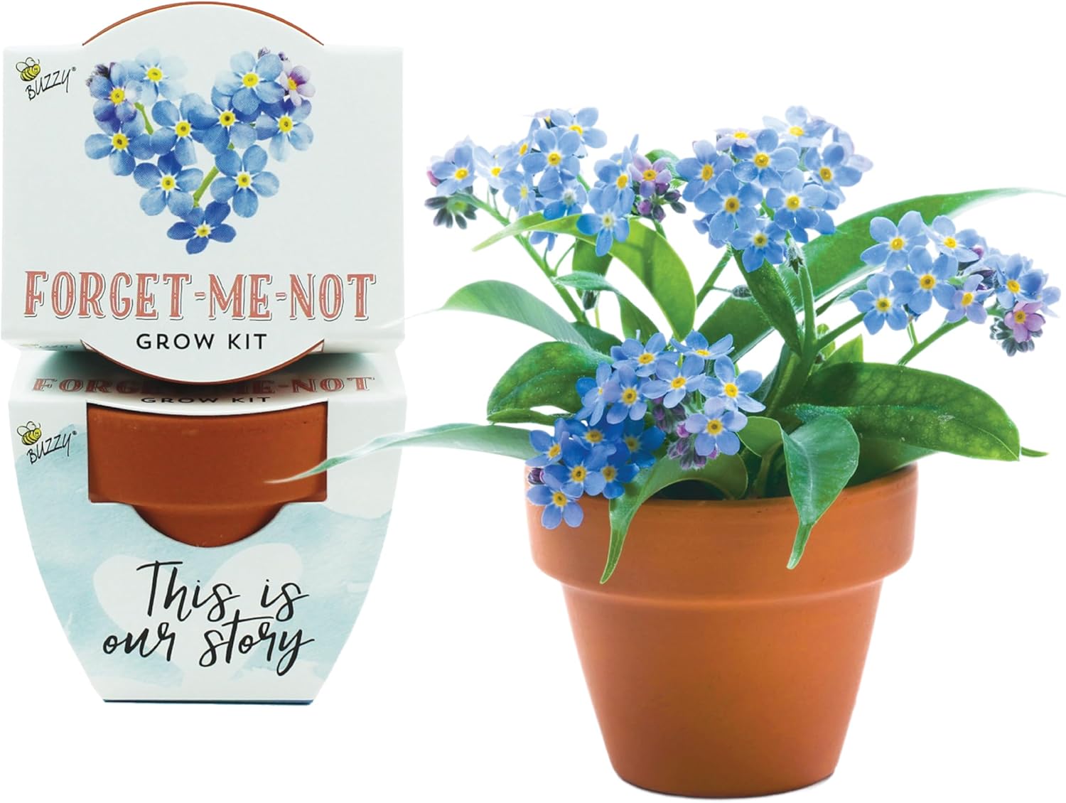 Buzzy Terracotta Mini Grow Pots 12-Count Case