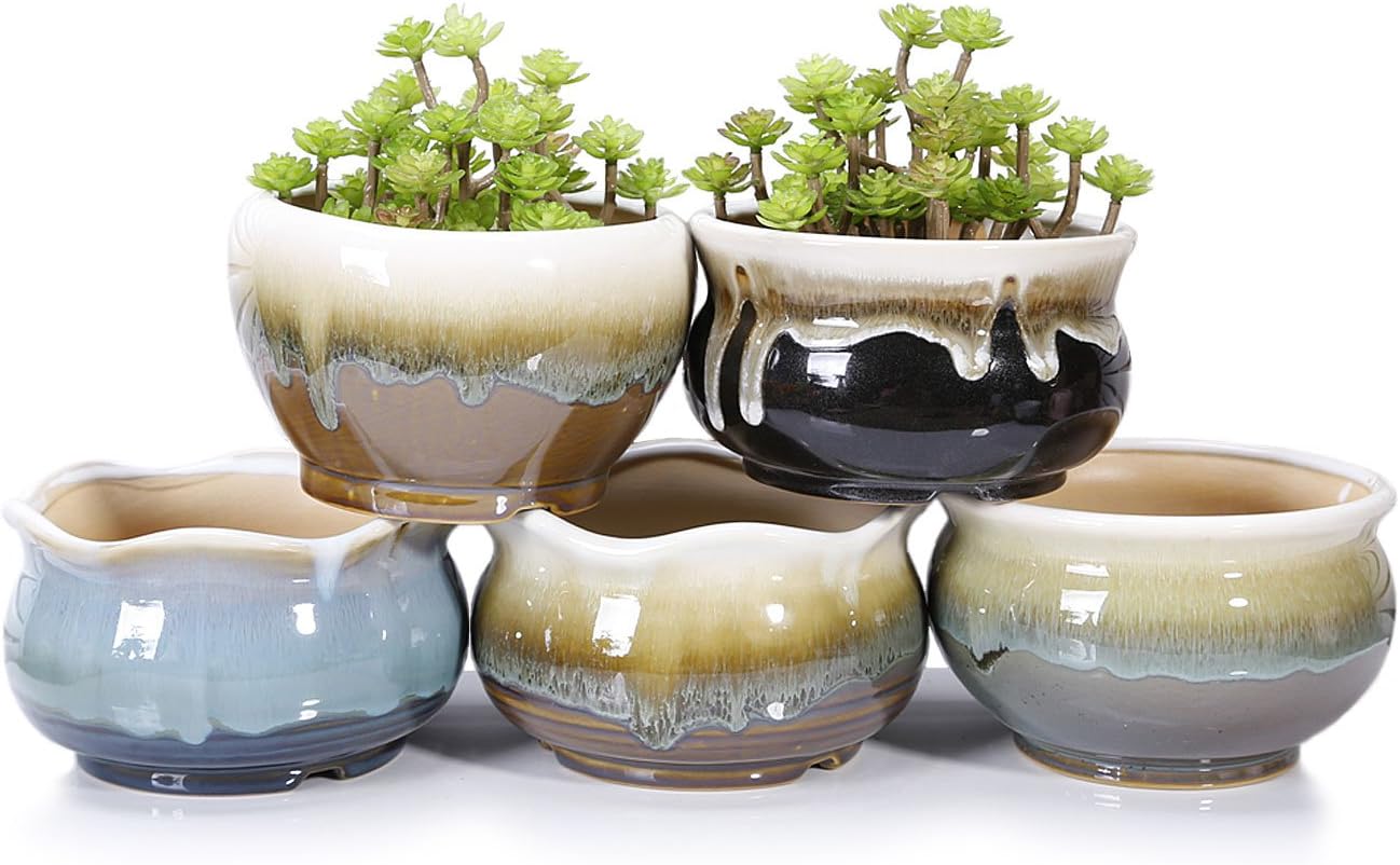 VanEnjoy Large Ceramic Succulent Pot with Drainage Hole