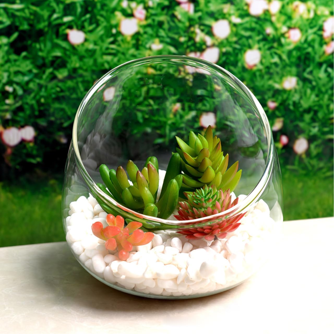 Angoily Slant Cut Glass Bowl Terrarium Container
