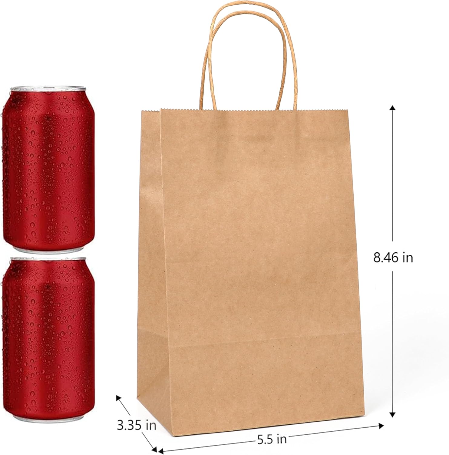 100pcs Kraft Paper Bags for Retail and Events