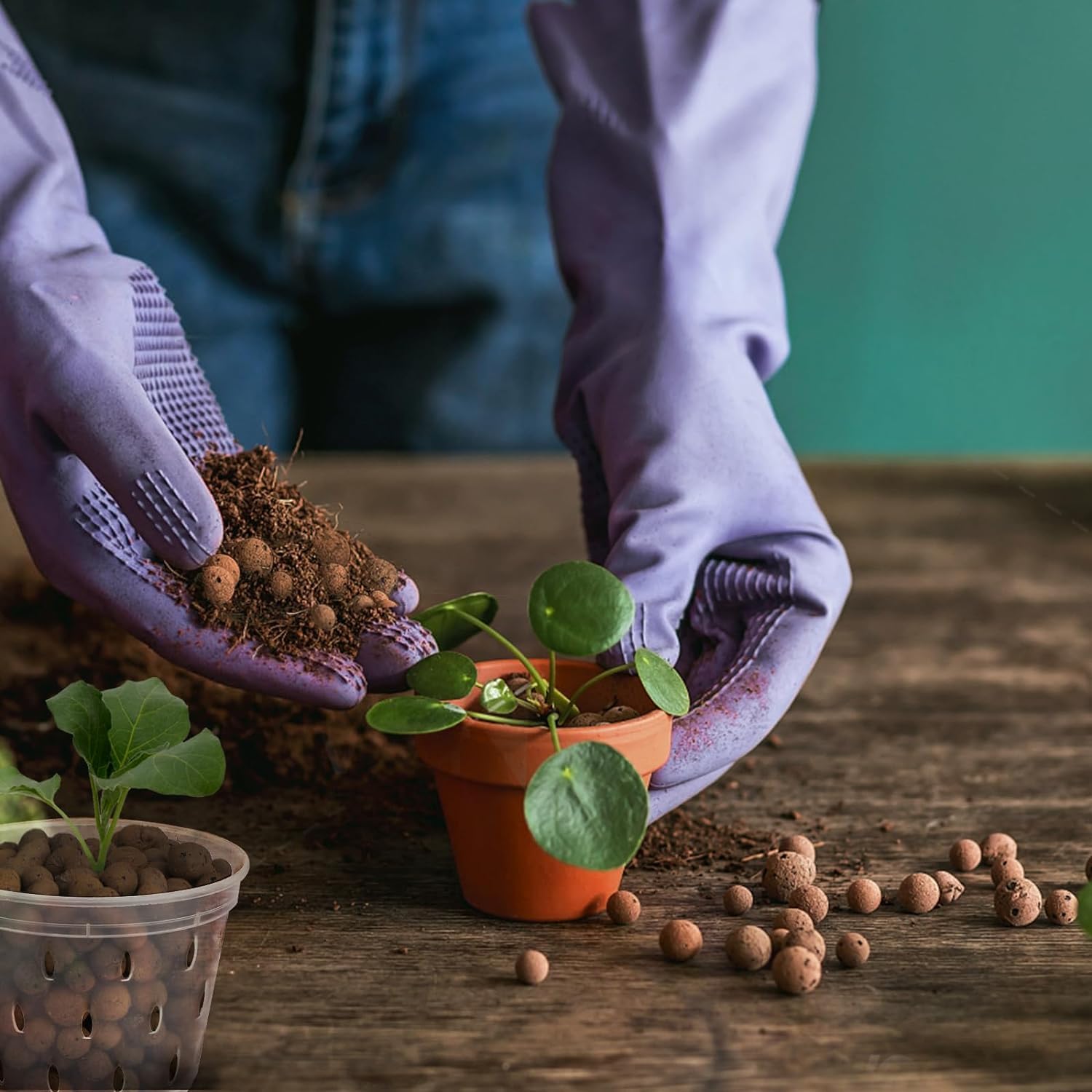 Expanded Clay Pebbles 2qt for Hydroponics and Plants