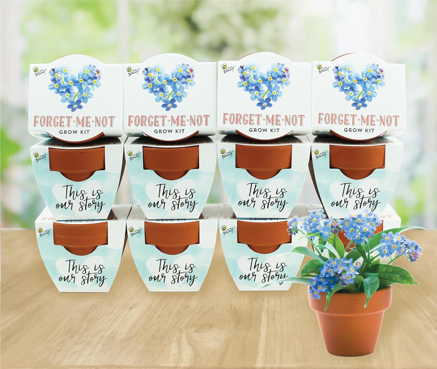 Buzzy Terracotta Mini Grow Pots 12-Count Case