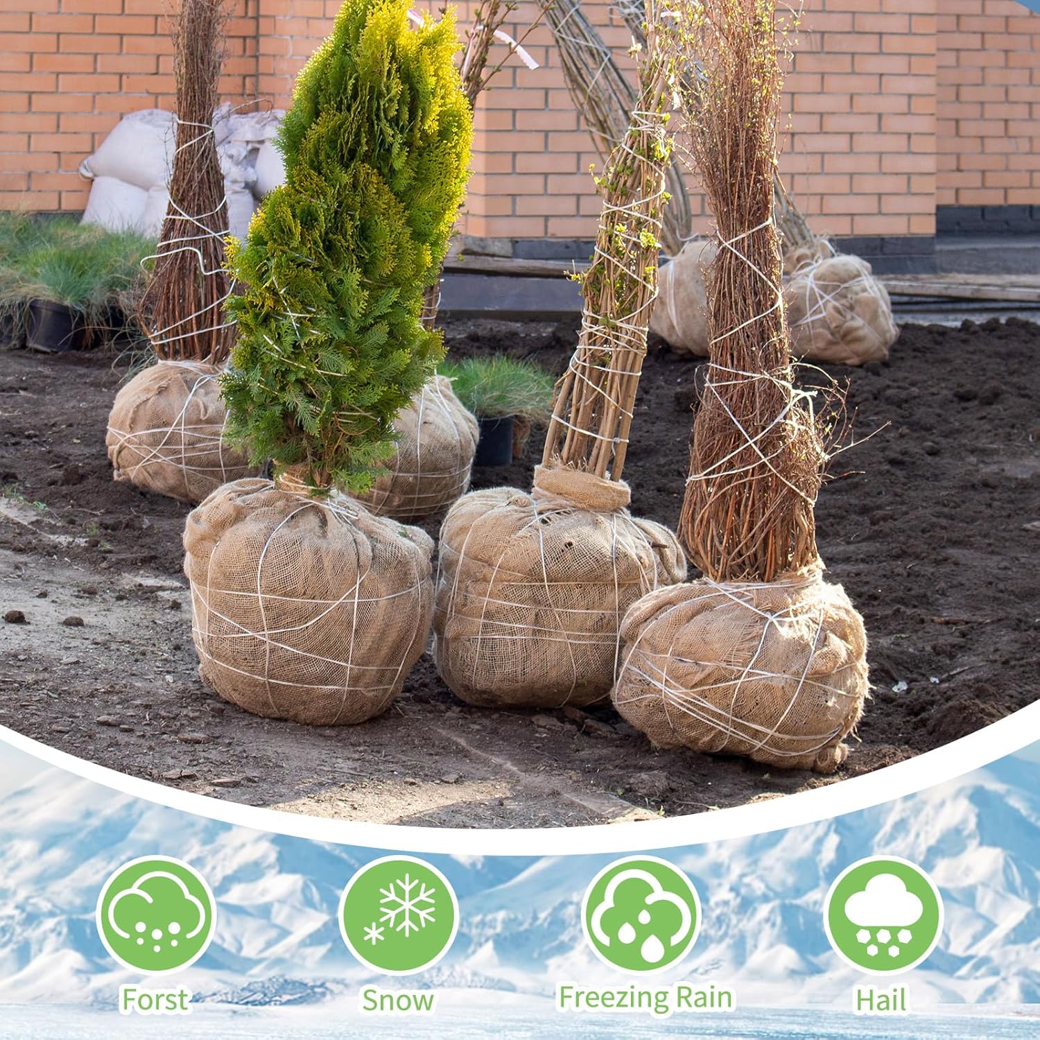 Tcevily Garden Burlap Roll 40x50 Feet Natural Jute