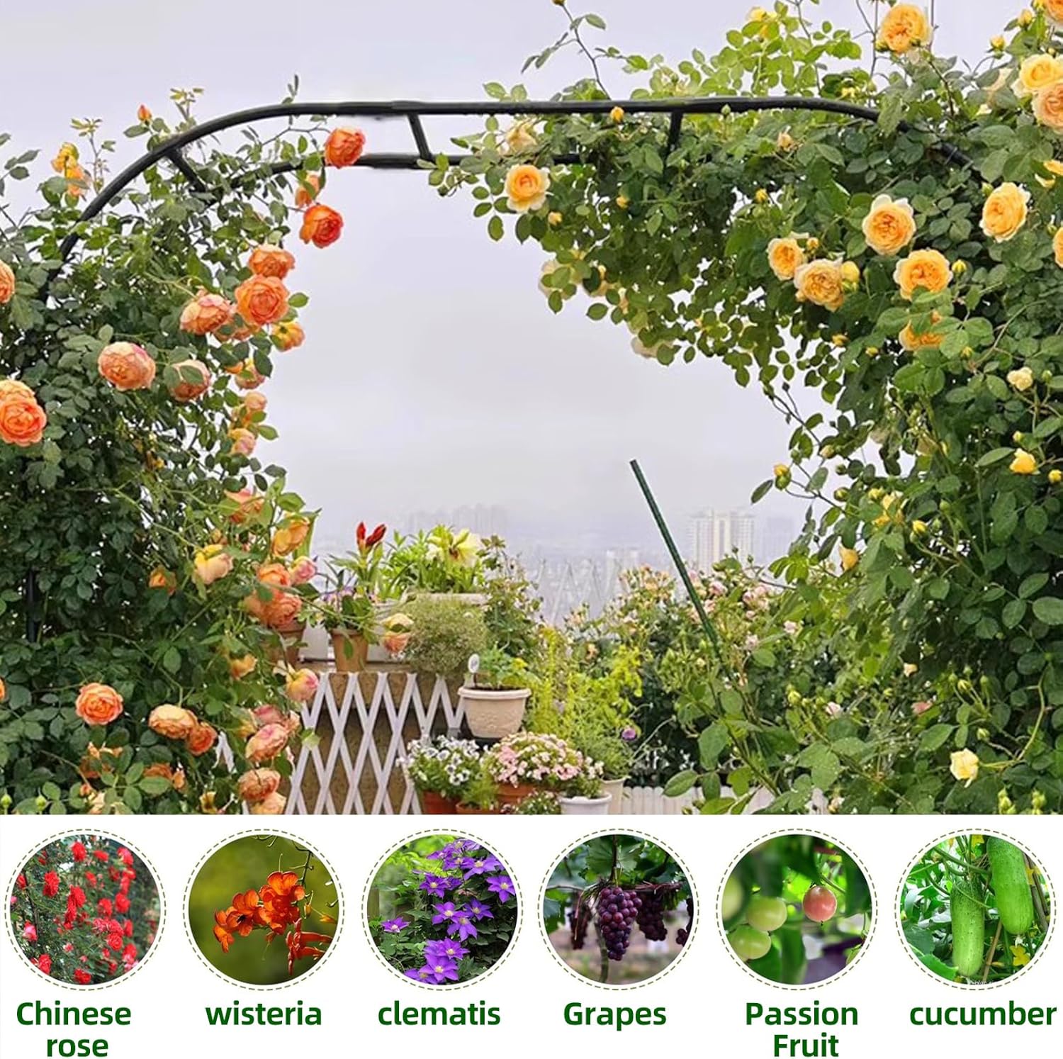 Garden Arch Trellis - 59in x 945in for Climbing Plants
