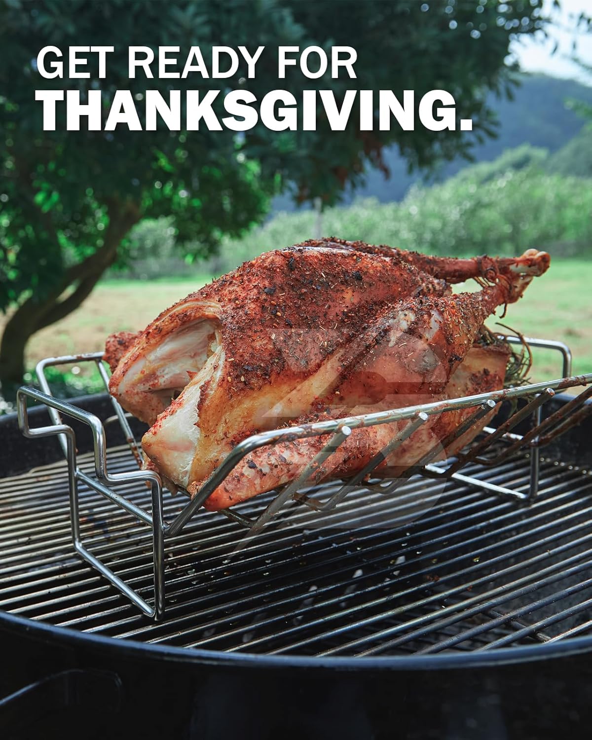 BONPAZ Rib and Roast Rack for Big Green Egg