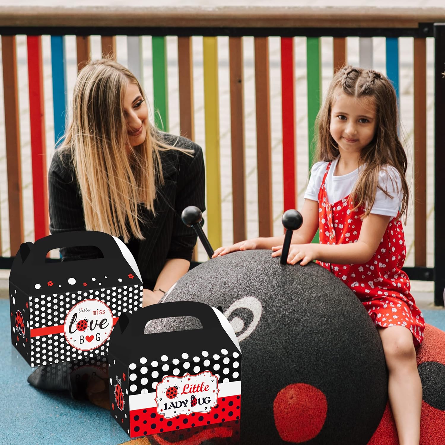 12 Pack Ladybug Party Favor Treat Boxes
