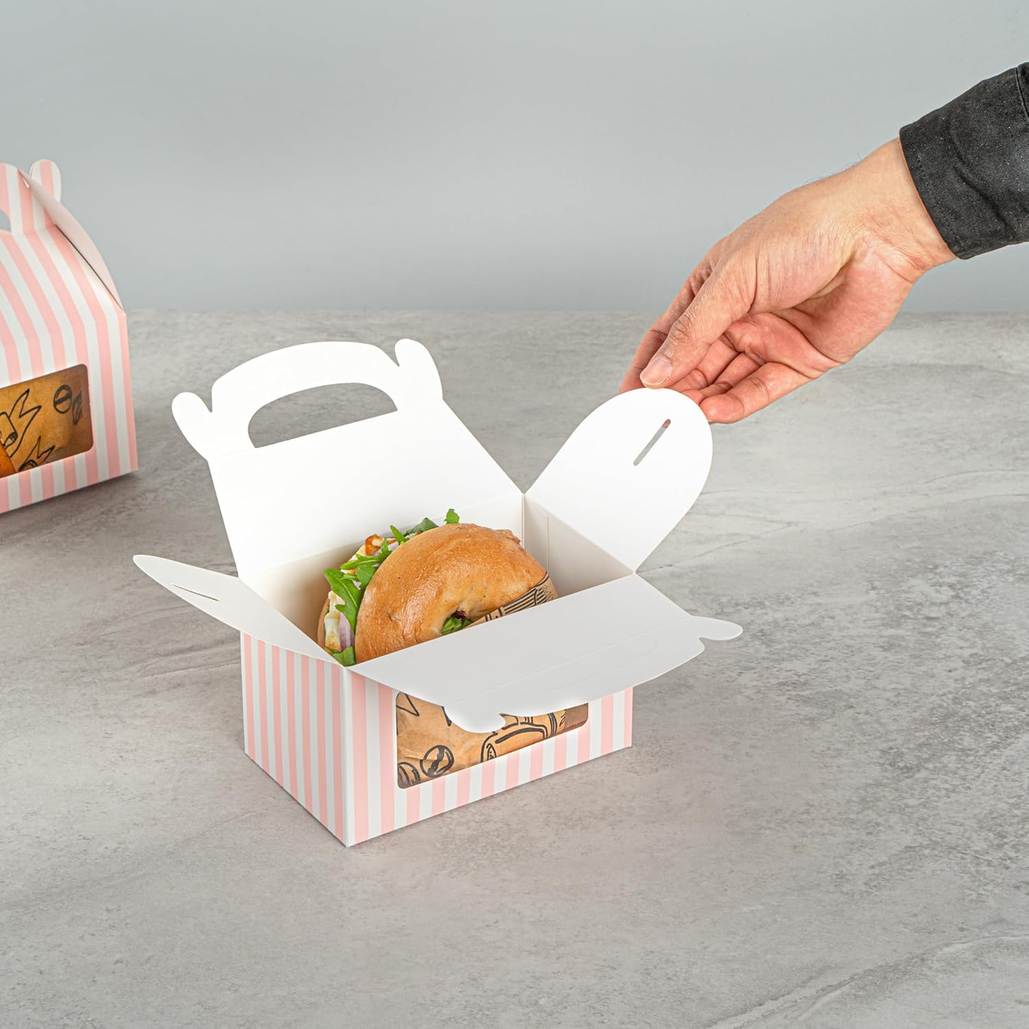 Bio Tek 6x35x35 Inch Gable Gift Boxes With Handle