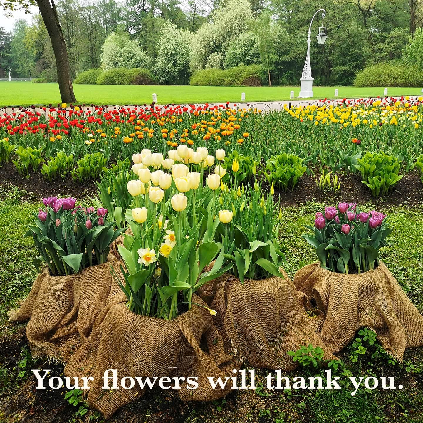 40ft x 30in Burlap Roll for Garden and Decor