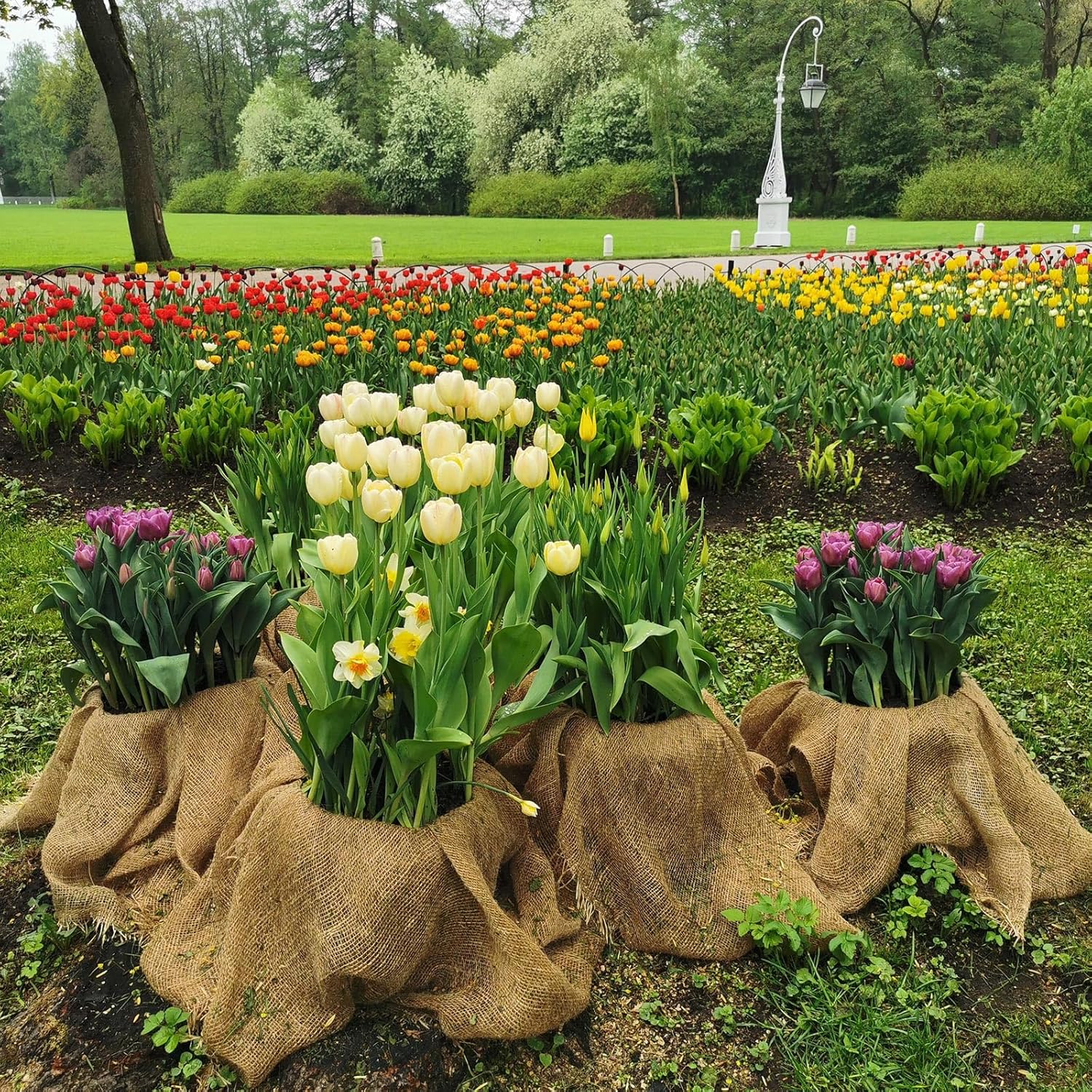 Tcevily Garden Burlap Roll 40x50 Feet Natural Jute
